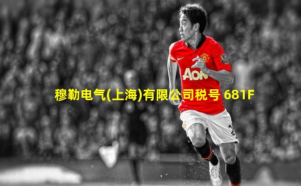 穆勒电气(上海)有限公司税号 681F